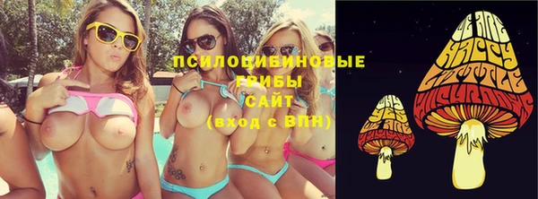 spice Надым