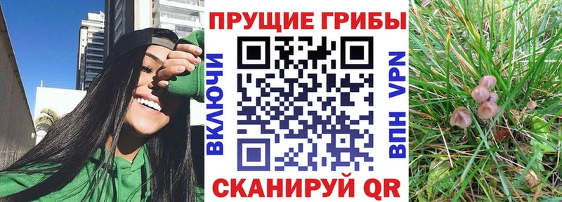 Псилоцибиновые грибы Magic Shrooms  Рязань 