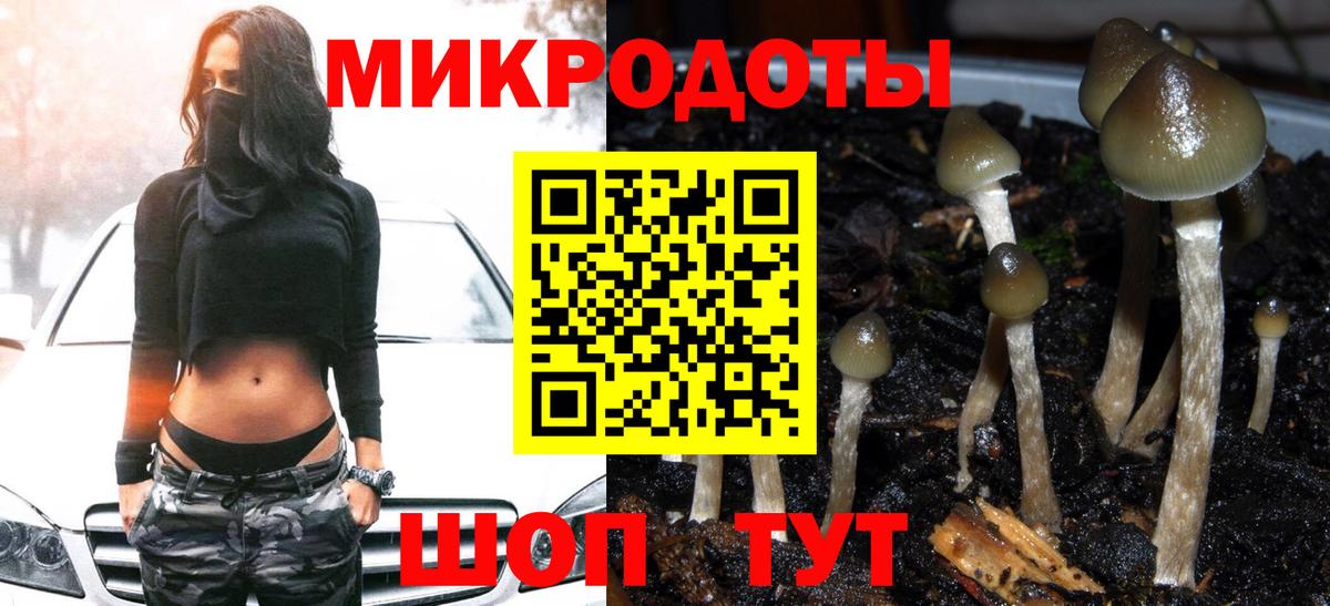 Псилоцибиновые грибы Cubensis Рязань